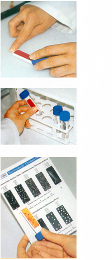 Микробиологические экспресс-тесты для определения КМАФАнМ/Enterobacteriacea, Envirocheck E, 10 шт./уп. Фото 1