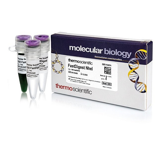 Эндонуклеаза рестрикции NheI Fast Digest