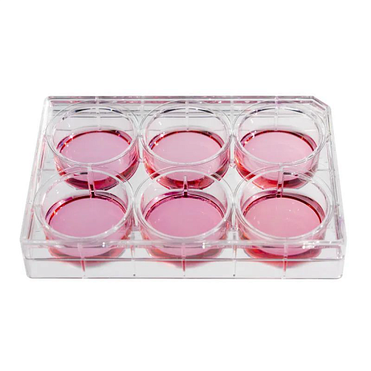 Наполнение планшета культурального 6-лун., необработанная поверхность