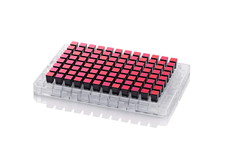 Микрочип Axiom для генотипирования собак (96-матричный формат, 670 000 маркеров)