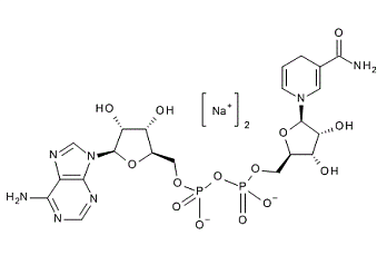 НАД-Н (Никотинамид-β-аденин динуклеотид динатриевая соль, NADH-Na₂), не менее 98%, CDH