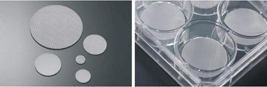 Планшеты культуральные 12-ти луночные со скаффолдом для 3D культивирования, 3DCellSCAFLD 1 уп./8 шт., Jet Biofil