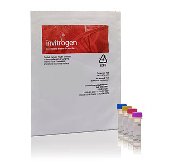 Набор для определения повреждения ДНК и цитотоксичности, HCS DNA Damage Kit, 96-луночный планшет, Thermo FS