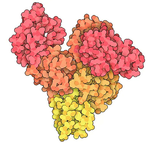 Альбумин бычий сывороточный (БСА)