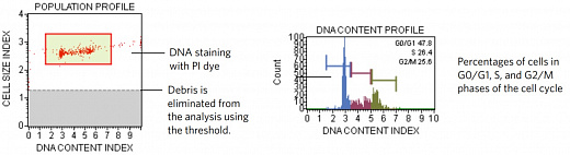 Набор для анализа клеточного цикла Muse Cell Cycle Kit, 100 тестов Фото 2