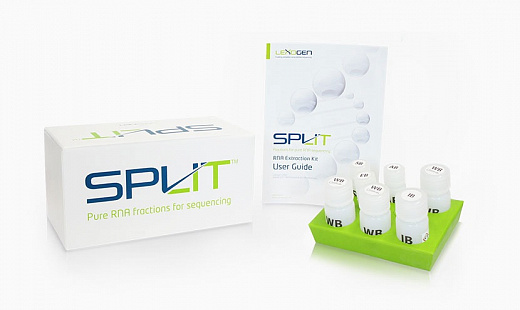 Набор для выделения РНК SPLIT RNA Extraction Kit