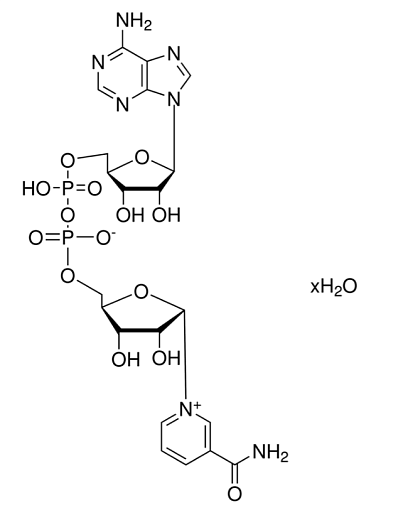 НАД (β-никотинамид аденин динуклеотид (NAD)), ≥ 98%, Servicebio