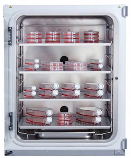 CO₂-инкубатор, 170 л, прямой нагрев, ИК-датчик стерилизуемый, CellXpert C170 Фото 3